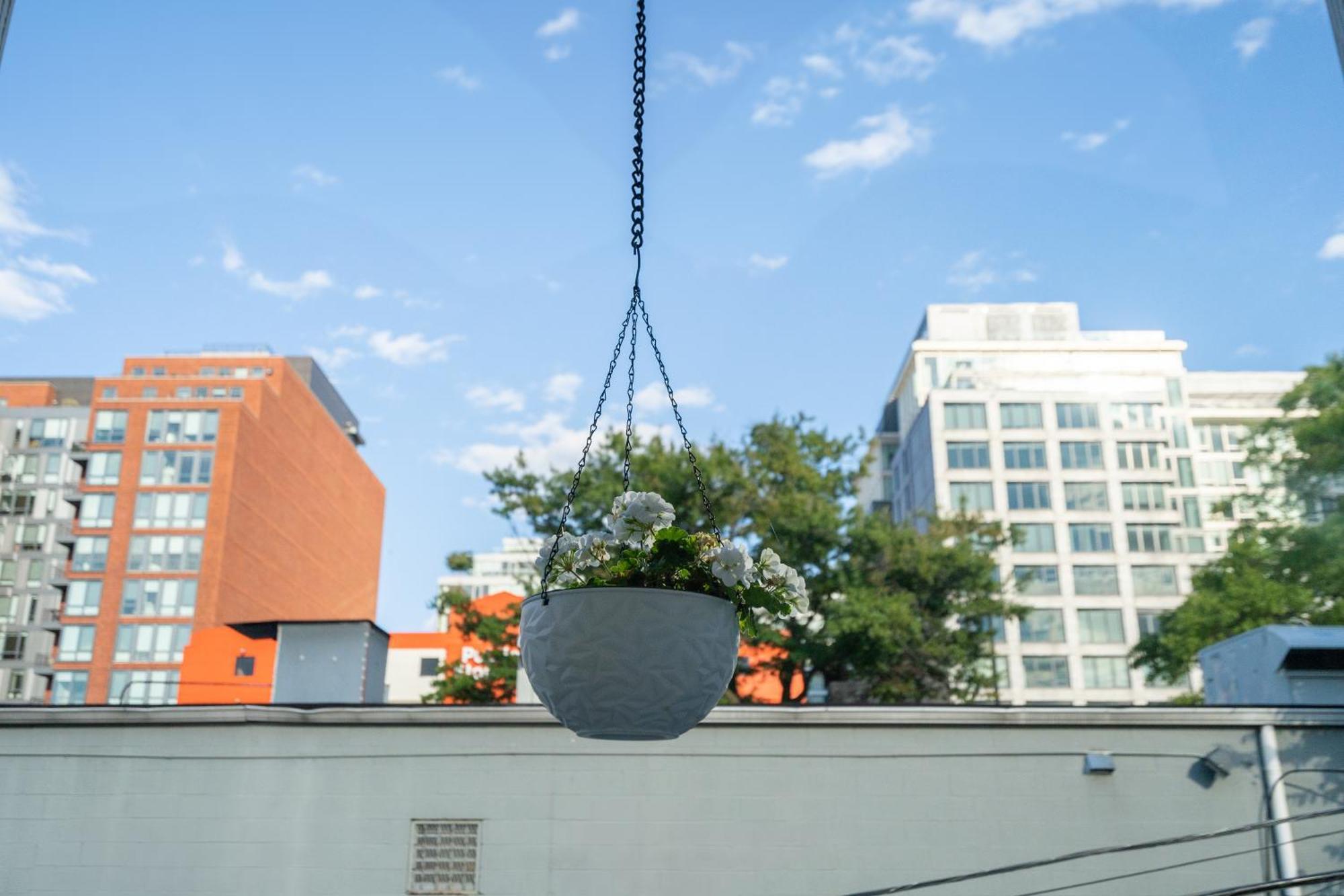 Perfect Location! Stylish Steps Away From Nationals Stadium And Navy Yard In Dc's Southwest Gem Apartment